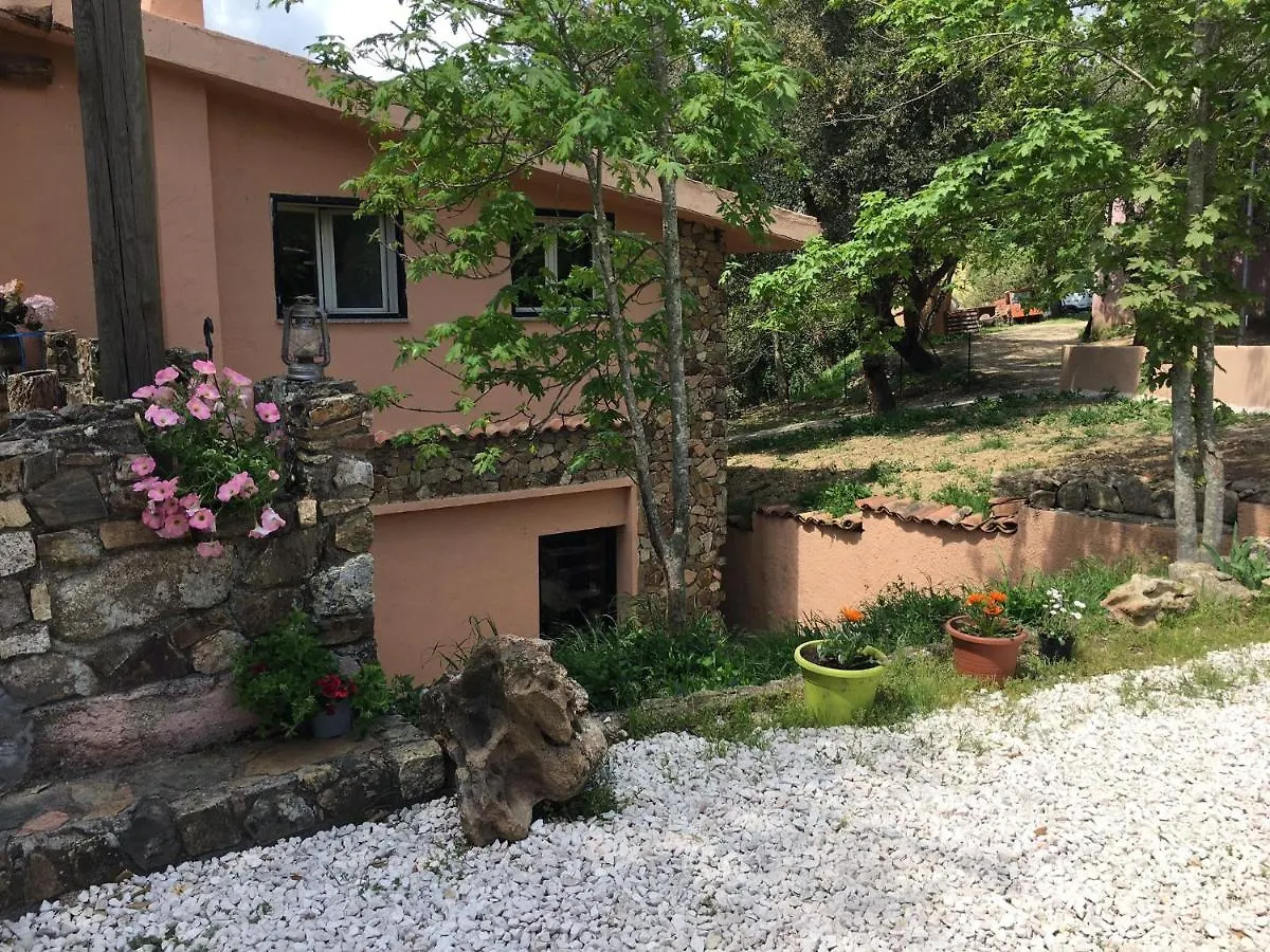 Azienda Agrituristica S'Argalasi - B&B - Affittacamere Loc S'Argalasi Austis