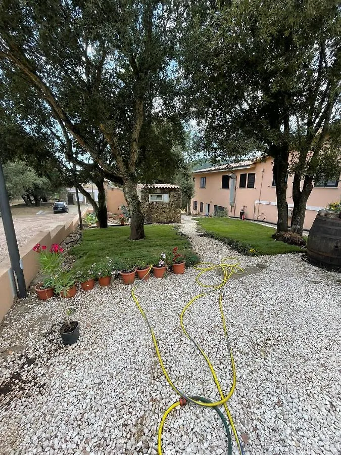 Azienda Agrituristica S'Argalasi - B&B - Affittacamere Loc S'Argalasi Austis 0*,